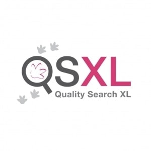 QSXL logo ontwerp