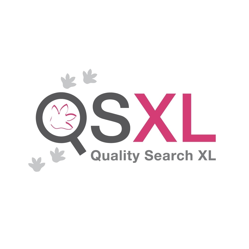 QSXL logo ontwerp door Ben Drost