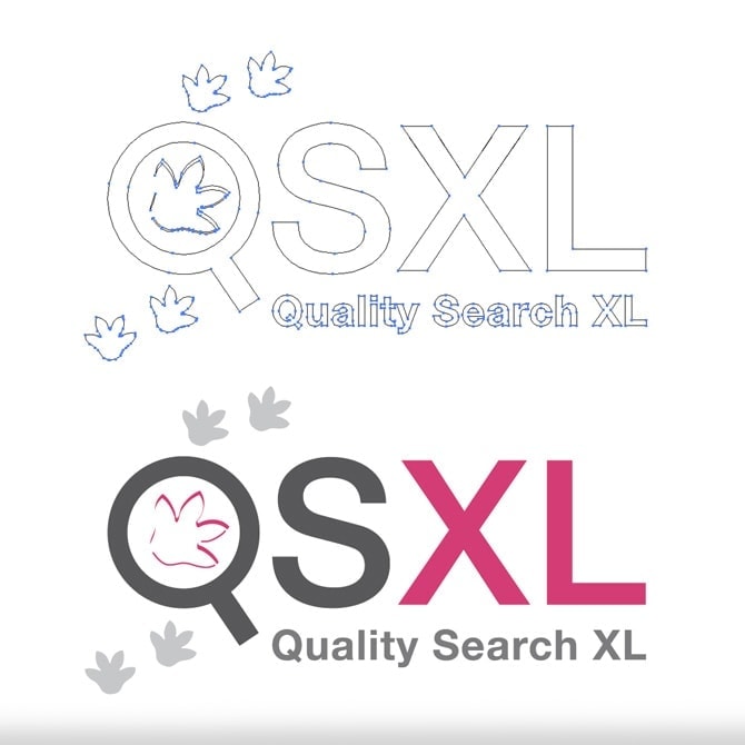 Logo portfolio Ben Drost | QSXL logo in vectoren en normale weergave