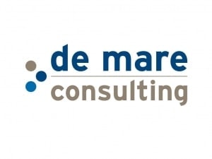 De Mare Consulting logo Ben Drost portfolio