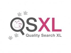 QSXL recruiter logo Ben Drost portfolio